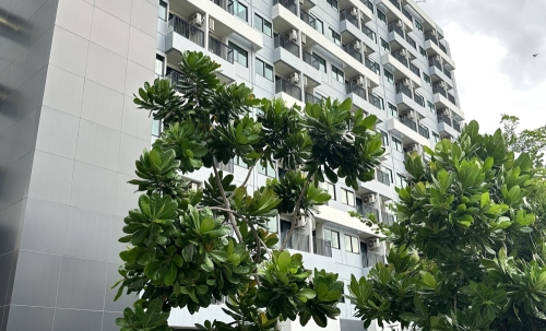 Thonburi Health Village - เครือโรงพยาบาลธนบุรี