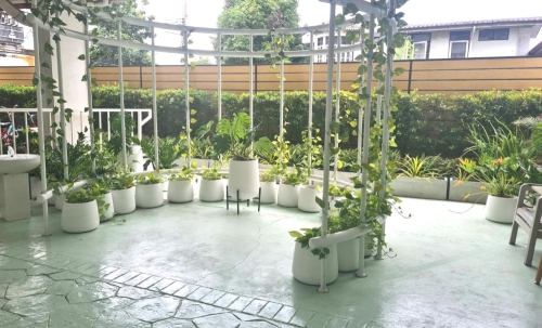 ห้องพักเดี่ยว ตึก Senior3
